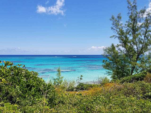 Reefs as wave breaker in the Bahamas (Margaret Miller)