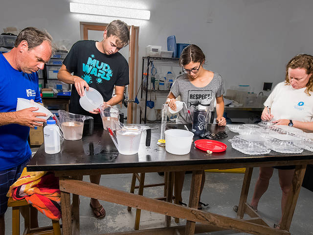 Full concentration during spawning lab work, Bahamas, Cape Eleuthera Institute (Paul Selvaggio)