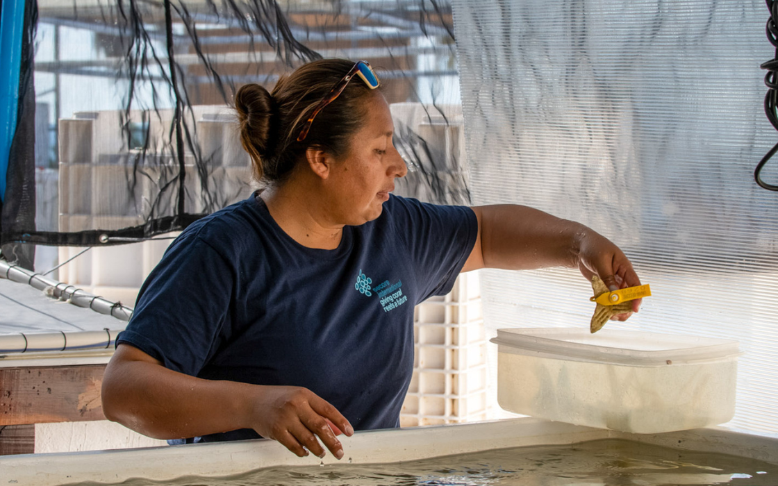 text and image-2.png