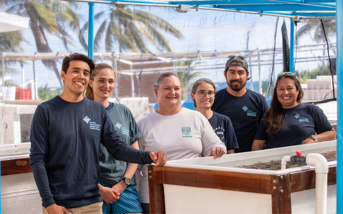 text and image-4.png