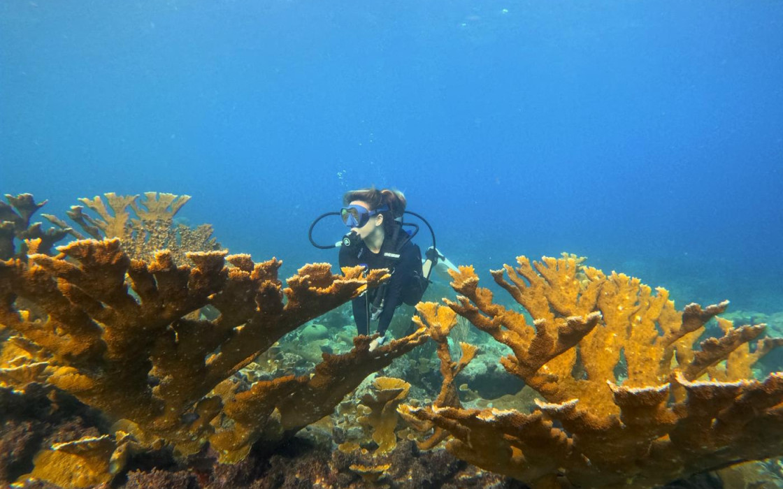 Imagen de WhatsApp 2025-09-21 a las 13.39.46_4c16b1c9.jpg